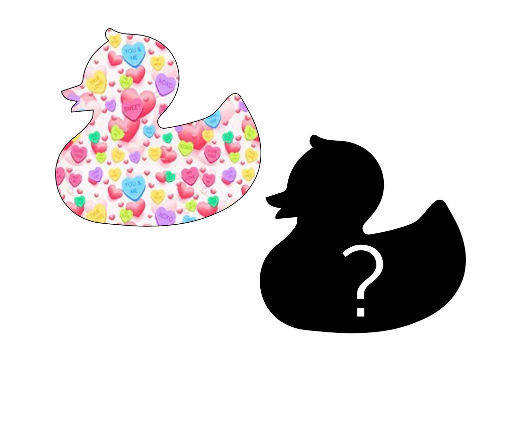 Duck of the Month - February