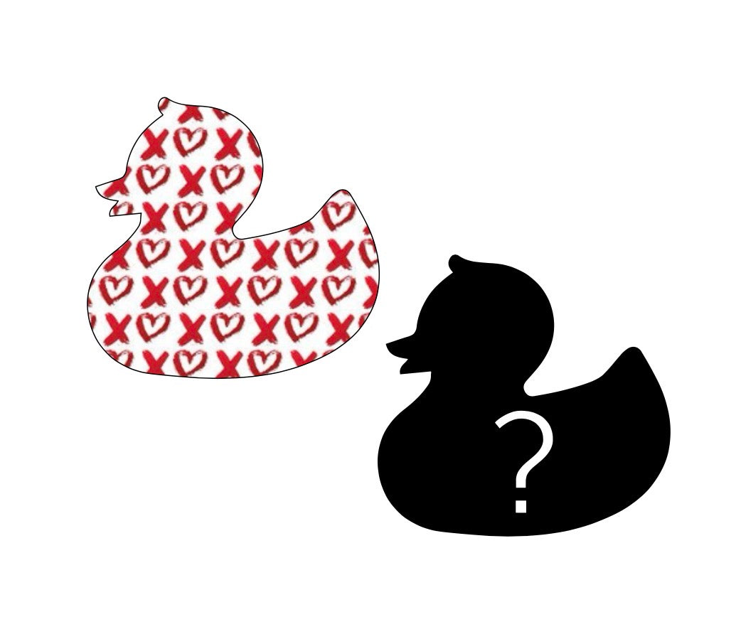 Duck of the Month - February