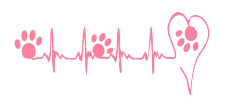 Heart and Paw EKG/Heartbeat Decal